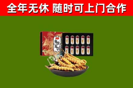 灵丘县回收冬虫夏草价格